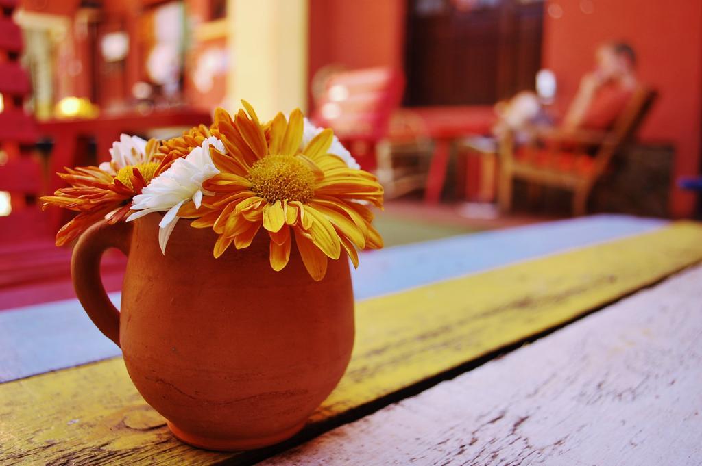 Hostel Jaguar House Cochabamba Exteriér fotografie